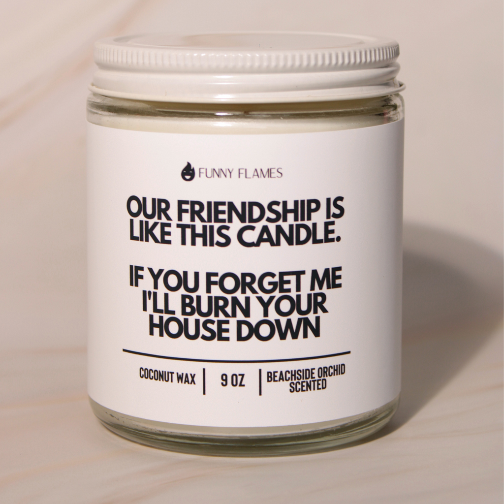 Our Friendship Is Like This Candle if you forget about me i'll burn your house down